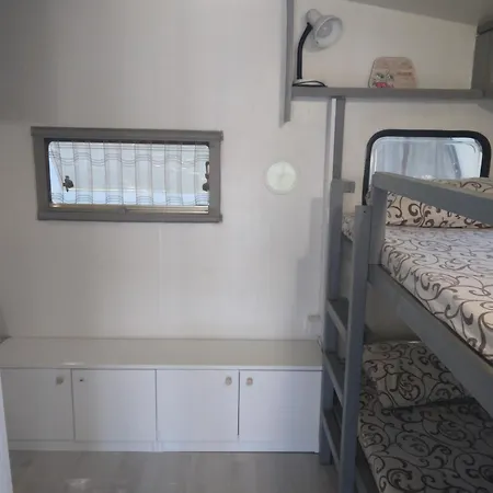 キャンプ場 Goldfish *