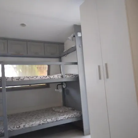 златна рибка *