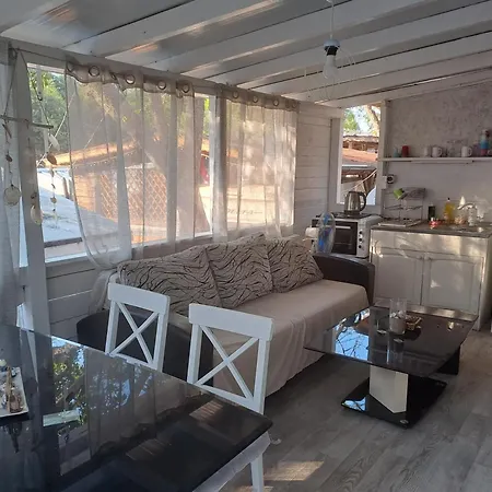 златна рибка