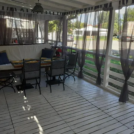 Goldfish ソゾポル