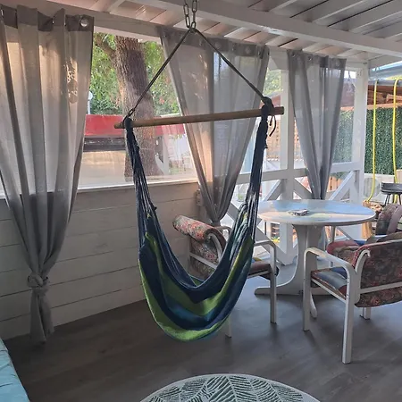 Goldfish * ソゾポル