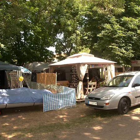 златна рибка