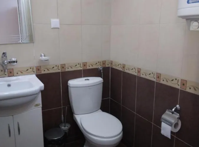 Goldfish ソゾポル