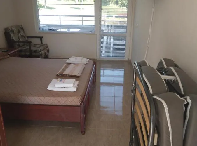 Goldfish * ソゾポル