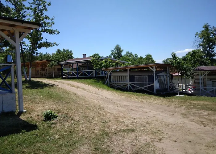 Goldfish キャンプ場