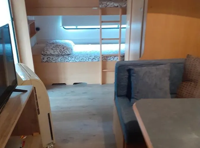 Camping Goldfish *