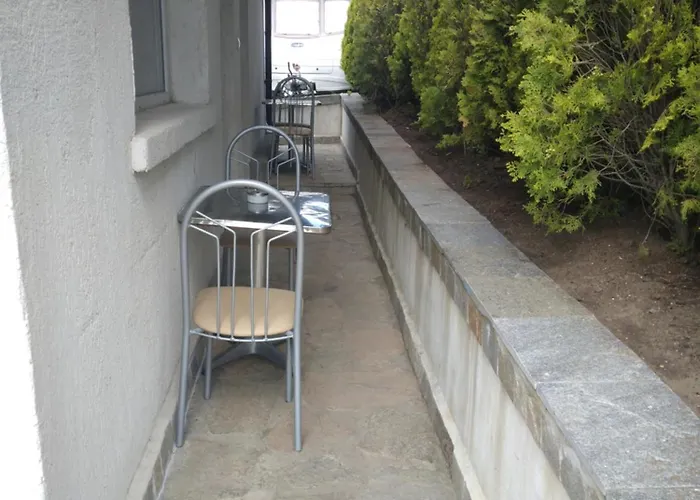 Goldfish キャンプ場 *