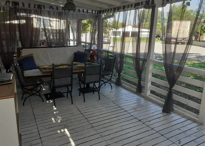 Goldfish ソゾポル