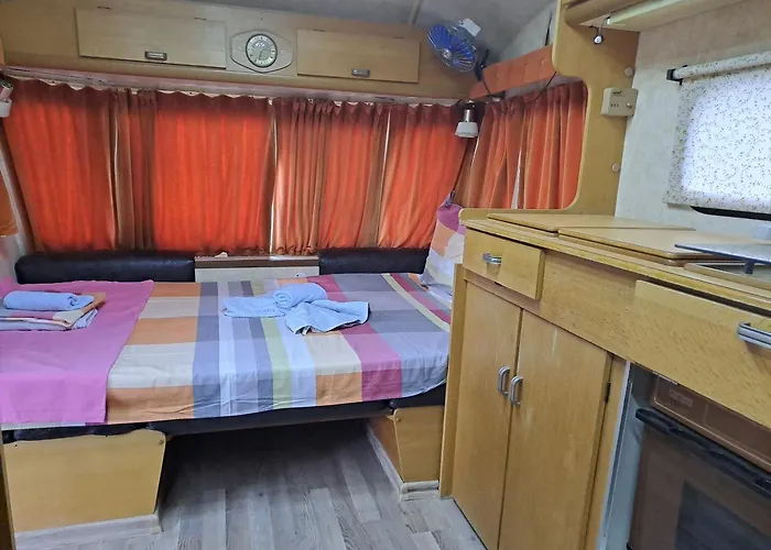 Goldfish * ソゾポル