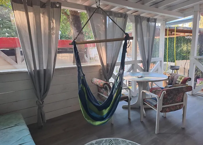 Goldfish * ソゾポル