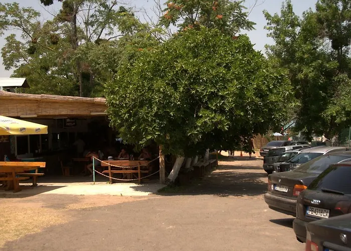 Goldfish キャンプ場 ソゾポル