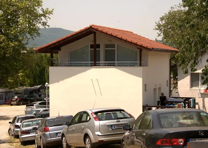 Goldfish * ソゾポル