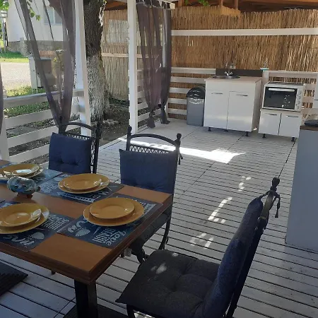 キャンプ場 Goldfish *