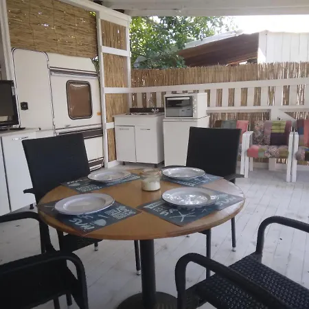 キャンプ場 Goldfish