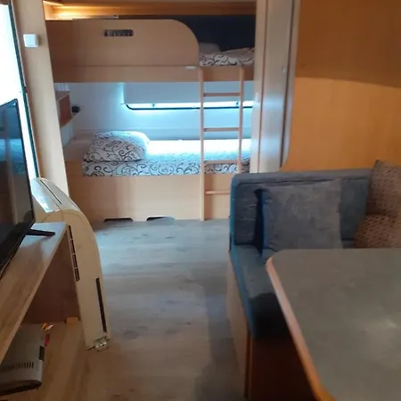 Campsite Camping Goldfish *