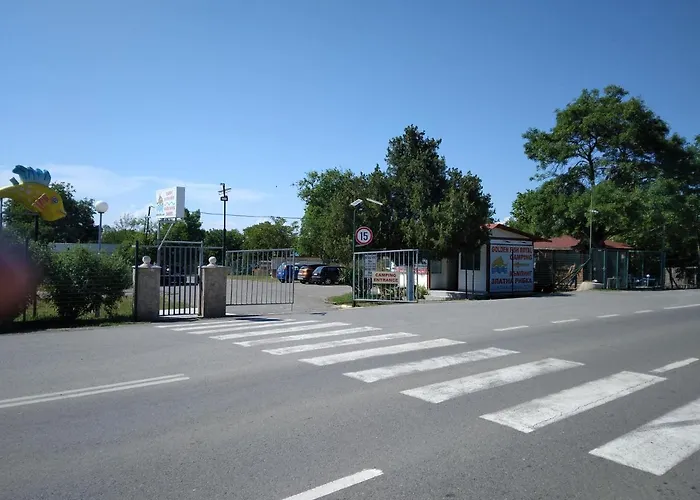 Campsite Camping Goldfish *