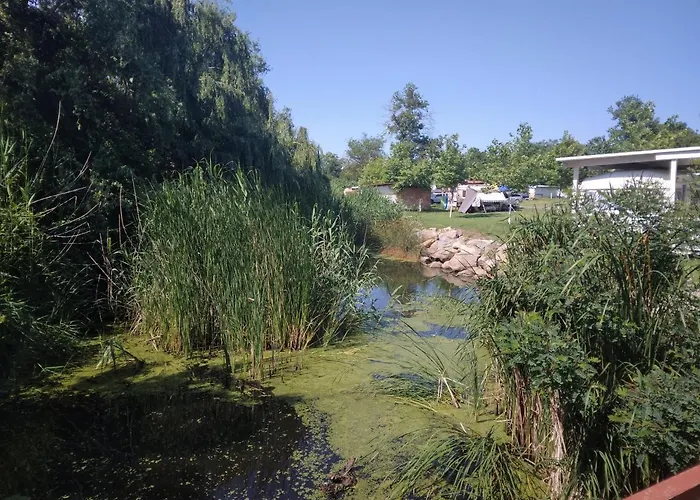 Parque de Campismo Goldfish Sozopol