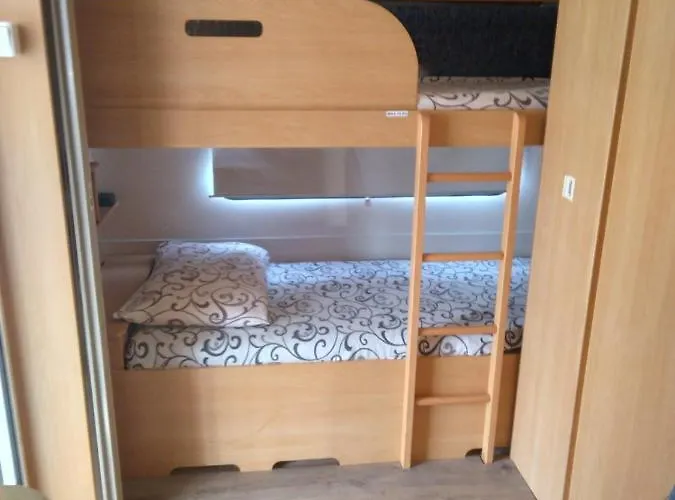 Campsite Camping Goldfish