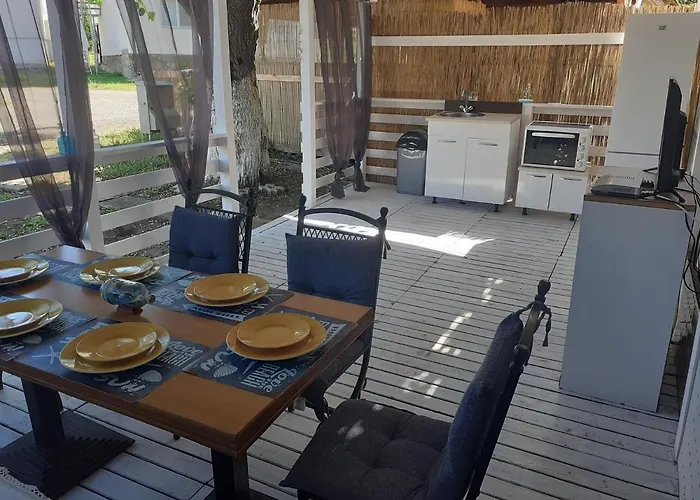 Campsite Camping Goldfish *